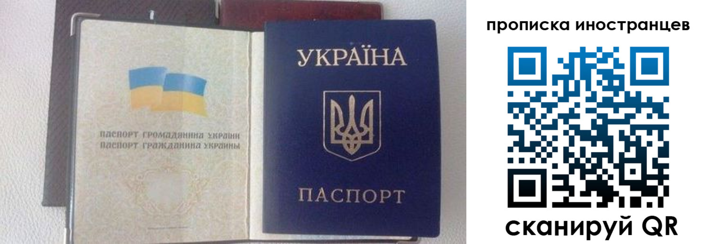 регистрация в Ленинградской области